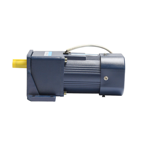 MICRO AC GEAR SINGLE PHASE MOTOR 8874451403039