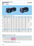 MICRO AC GEAR THREE PHASE MOTOR