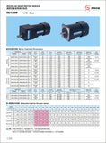 MICRO AC GEAR THREE PHASE MOTOR