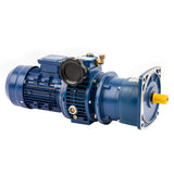 COMBINATION OF SPEED VARIATOR AND G3 INPUT REDUCER