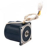 MICRO AC GEAR MOTOR WITH SPEED CONTROL